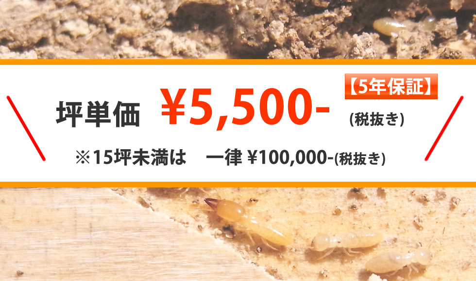 シロアリ防除消毒